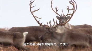 20141207-10.jpg